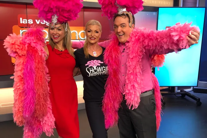 a group of pink flowers